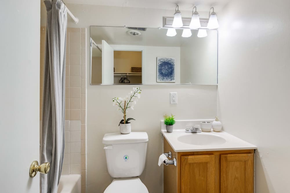 Bathroom with white countertop and well-lit large vanity mirror at Parkway Apartments in Williamsburg, Virginia