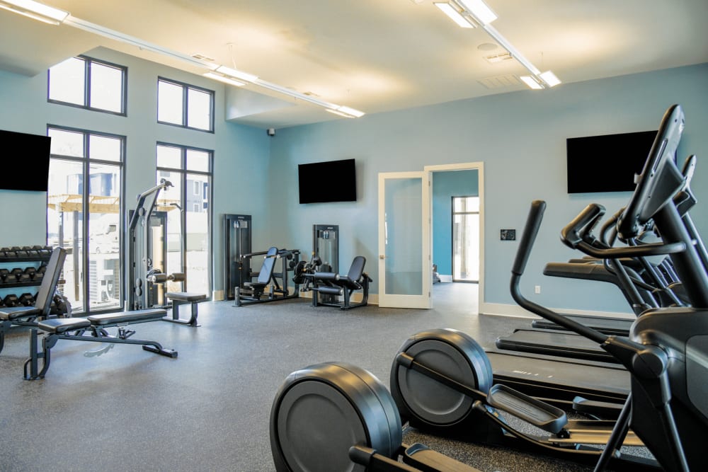 Fitness center with free weights at The Waters at Ransley in Pensacola, Florida