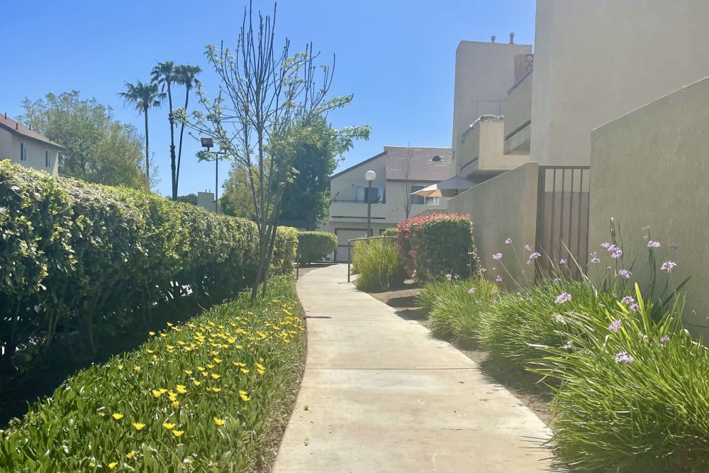 Walk side at Peppertree Place Apartments in Riverside, California