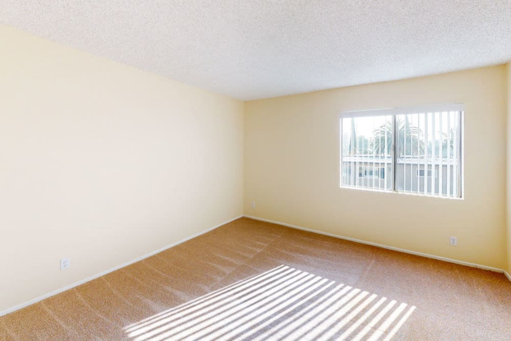 Bedroom space with large windows at Alpine Terrace Apartments in Canoga Park, California