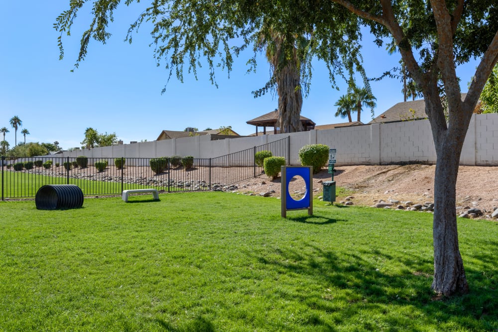 Dog park at Cielo on Gilbert in Mesa, Arizona