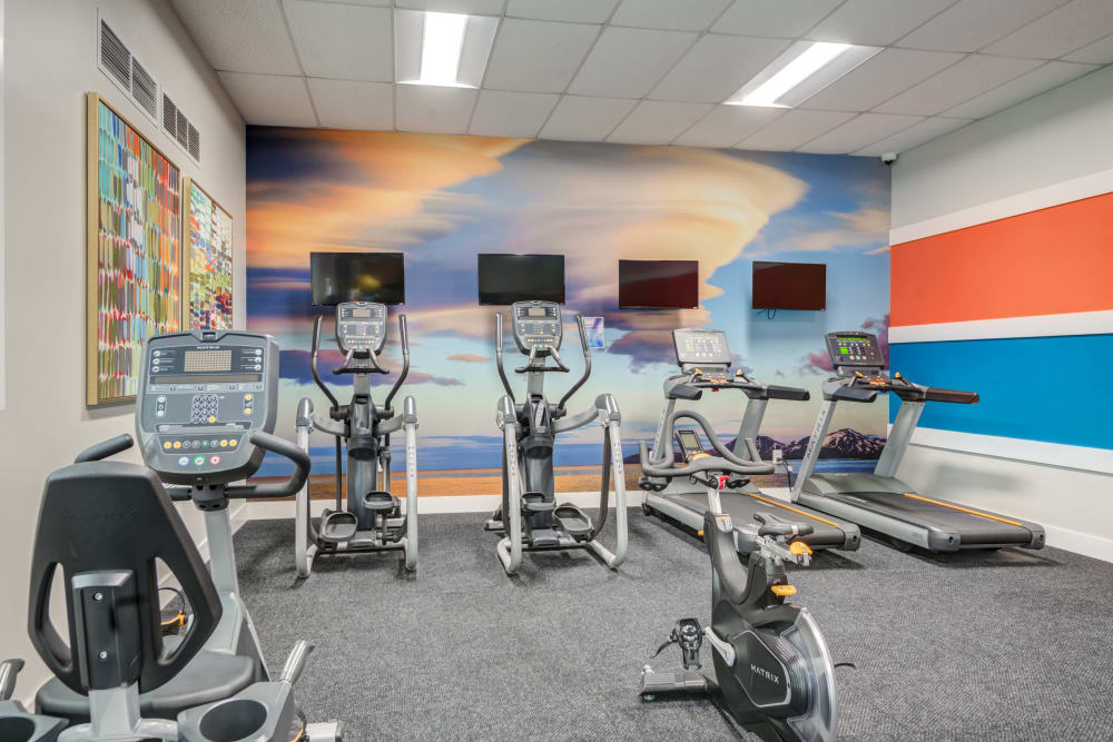  The fitness center at Abbotts Run Apartments in Alexandria, Virginia offers a variety of exercise equipment.