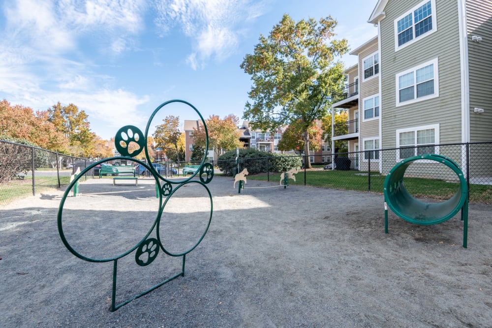 Dog park at Abbotts Run Apartments in Alexandria, Virginia features canine agility equipment.