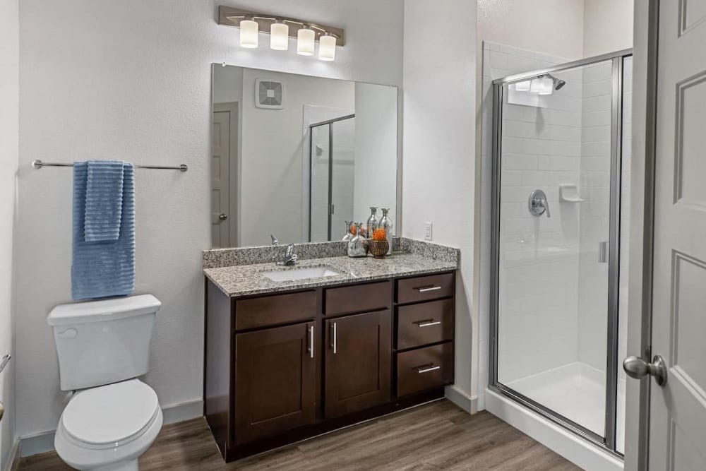 Bathroom with nice counter at The Preserve at Gateway in Forney, Texas