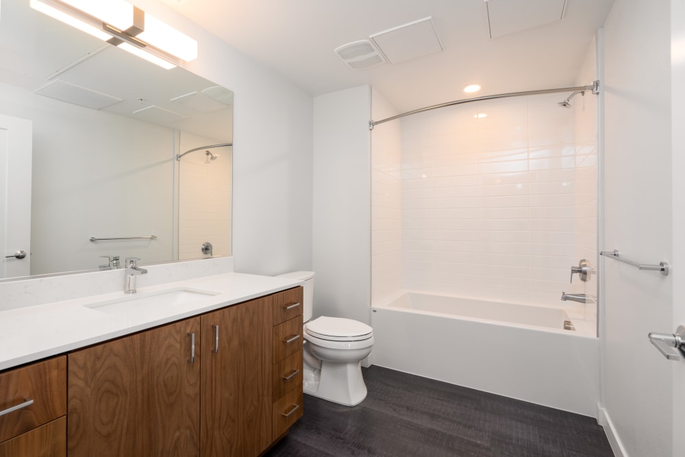 Penthouse bathroom with oversized shower at MV Apartments in Mountain View, California