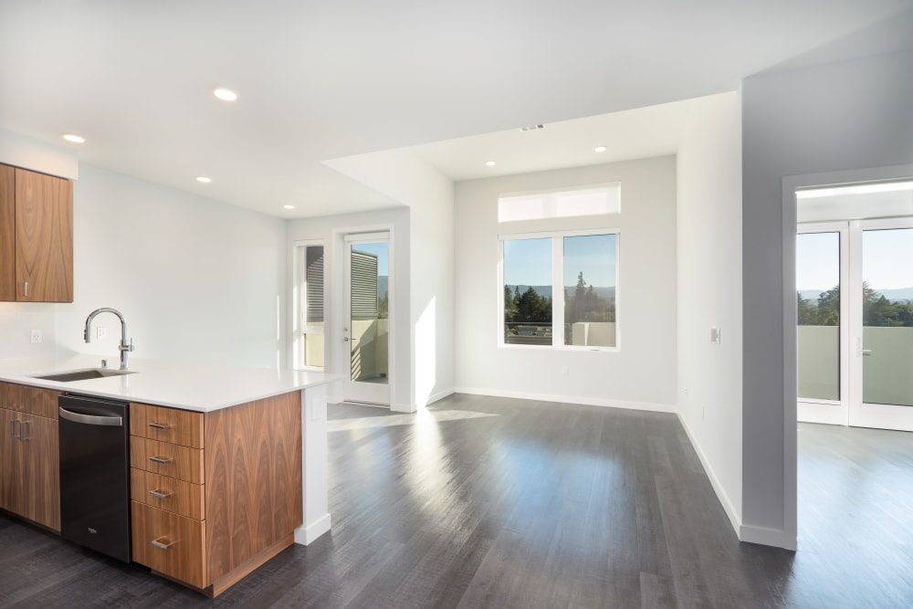 Open layout penthouse apartment with great natural light at MV Apartments in Mountain View, California