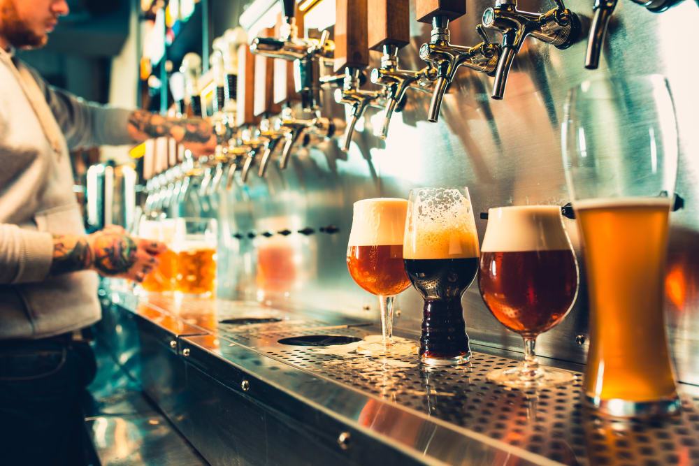 A row of poured beers in a bar near Lattitude34 Dillard Creek in Greer, South Carolina