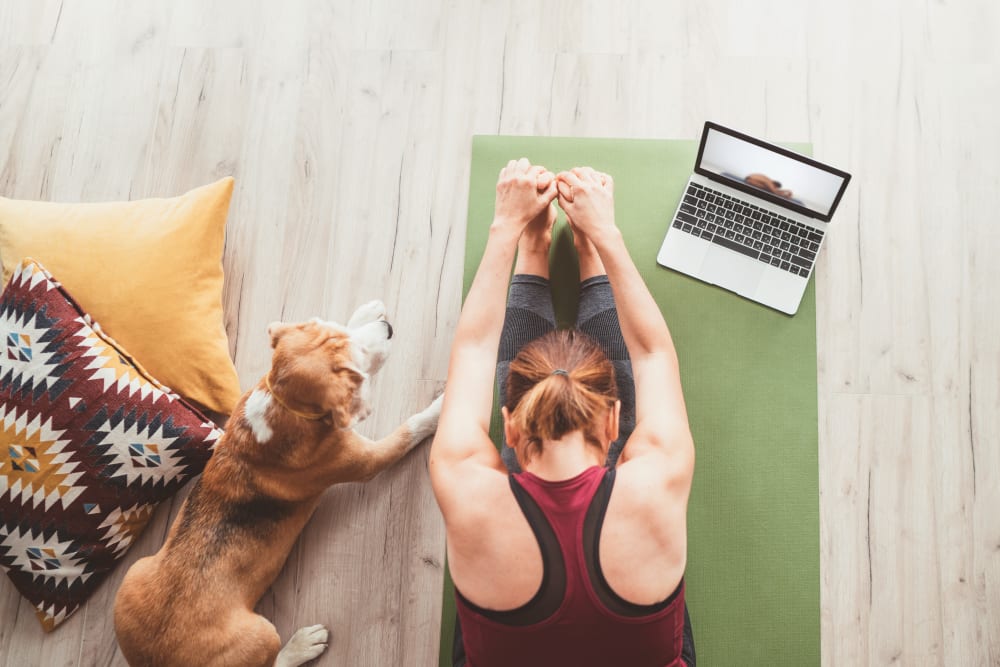 Resident stretching on a yoga mat next to her dog at Lattitude34 Greenville in Greenville, South Carolina