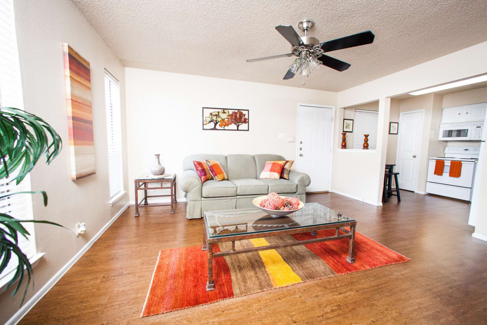 Model living room with a area rug at Ashley Oaks in San Antonio, Texas