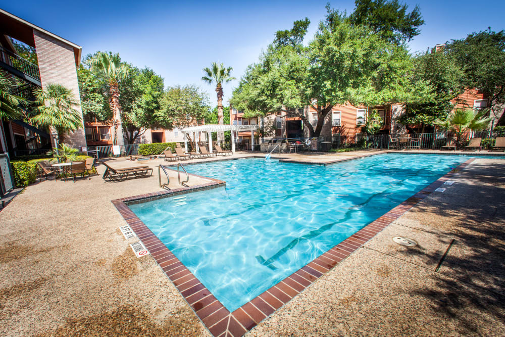 Community pool with trees at Ashley Oaks in San Antonio, Texas