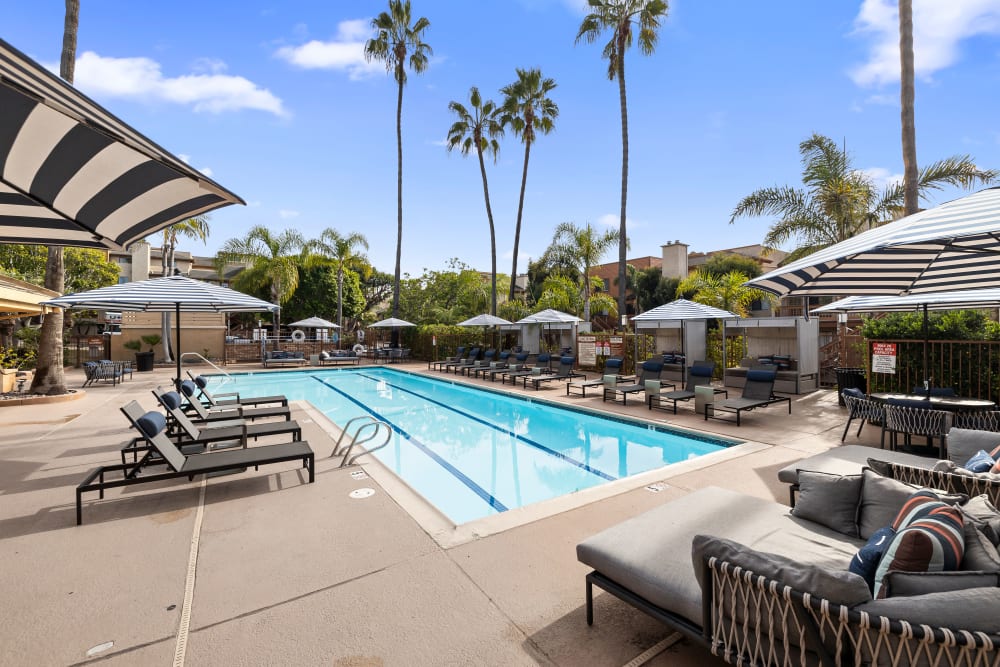 Large swimming pool with comfortable lounge chairs at Allina La Jolla in San Diego, California