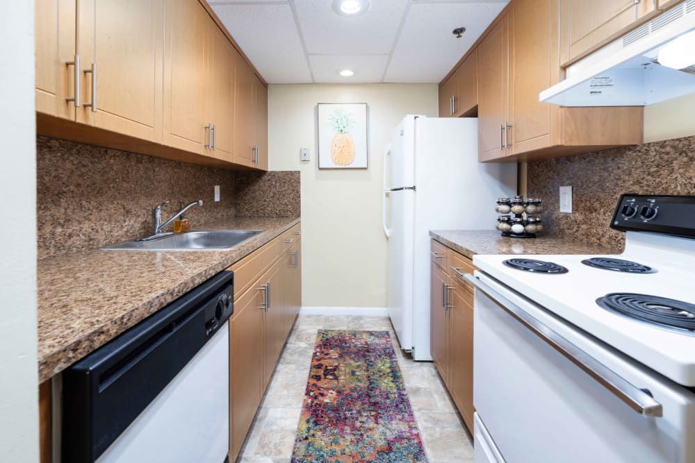 White appliances in an apartment kitchen at Forest Place in North Miami, Florida