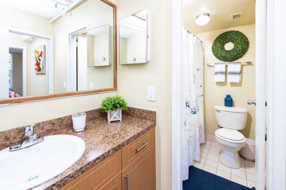 A bathroom sink, toilet and shower in an apartment at Forest Place in North Miami, Florida