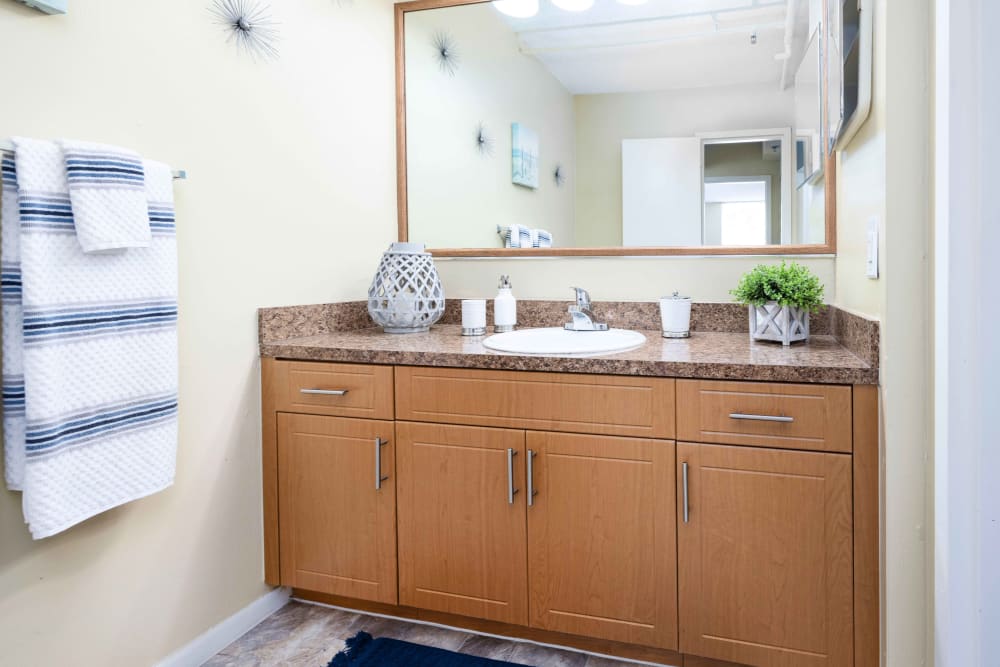 A bathroom sink with cabinet space underneath in an apartment at Forest Place in North Miami, Florida