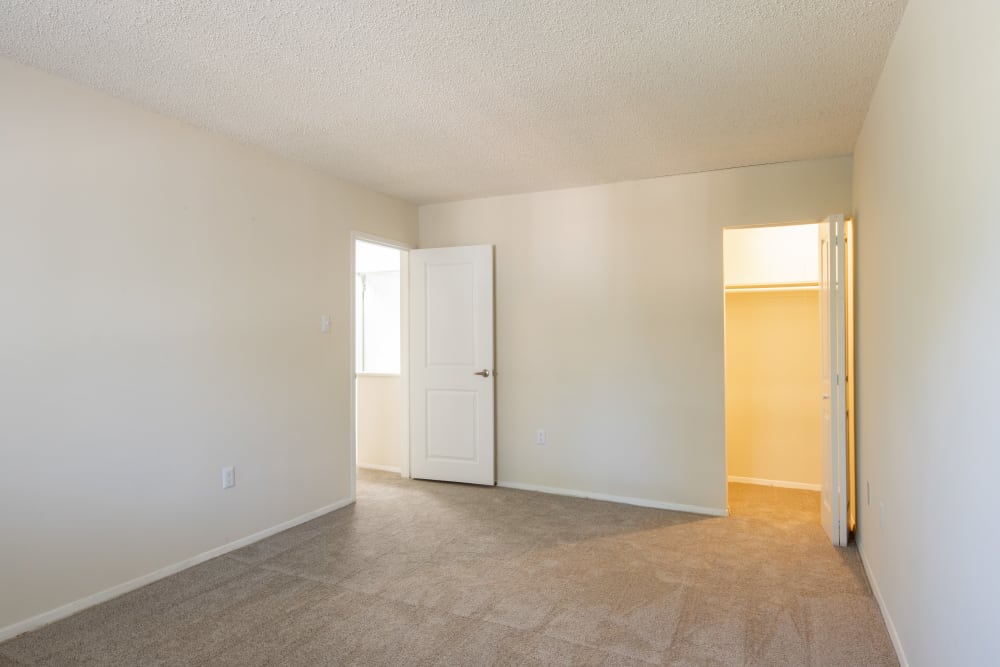 Plush carpeting in an apartment bedroom with the closet door open at Millspring Commons in Richmond, Virginia