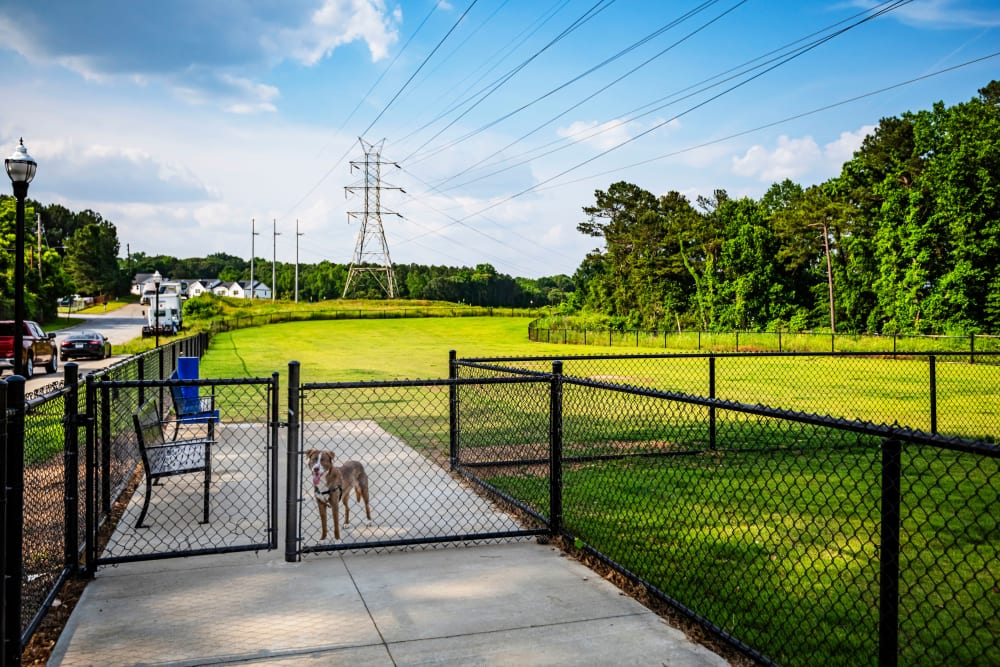 Dog park at Series at Riverview Landing in Mableton, Georgia
