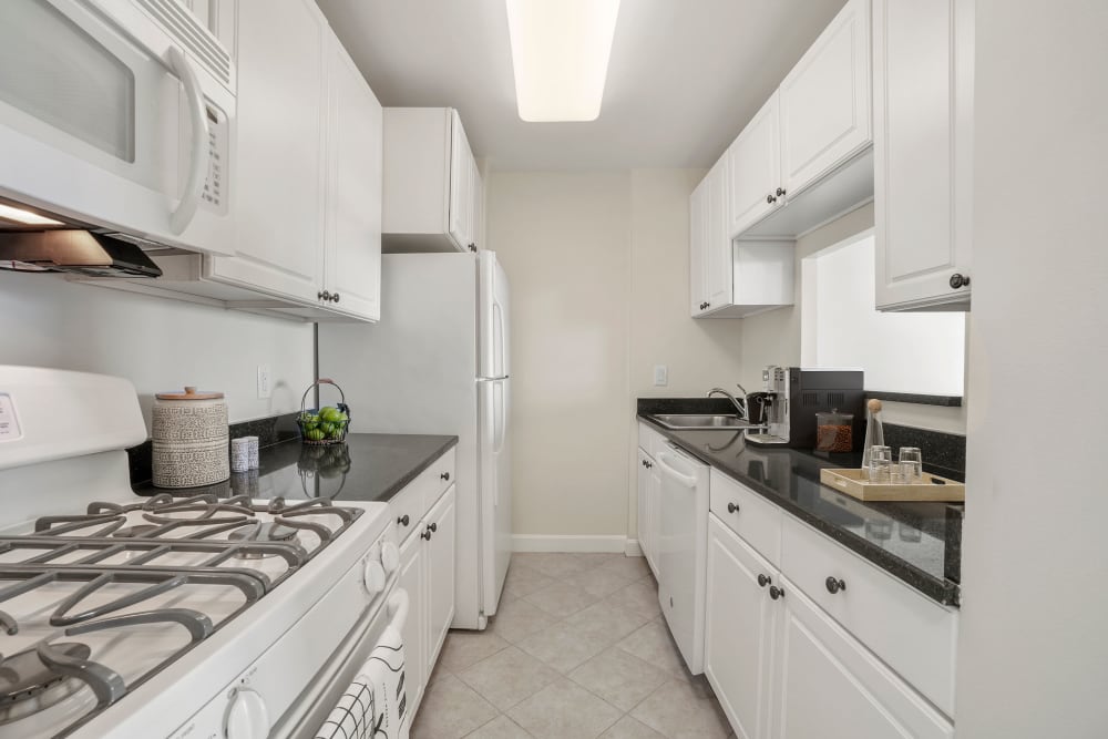 One bedroom modern kitchen at Parkside Place in Cambridge, Massachusetts 