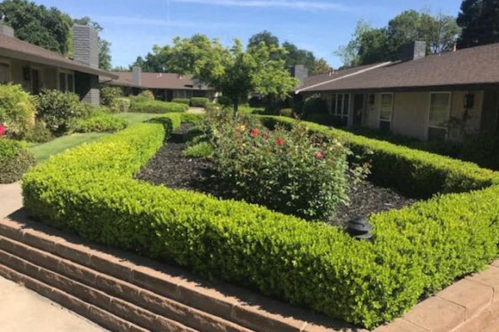 Lush landscaping at Espana East in Sacramento, California