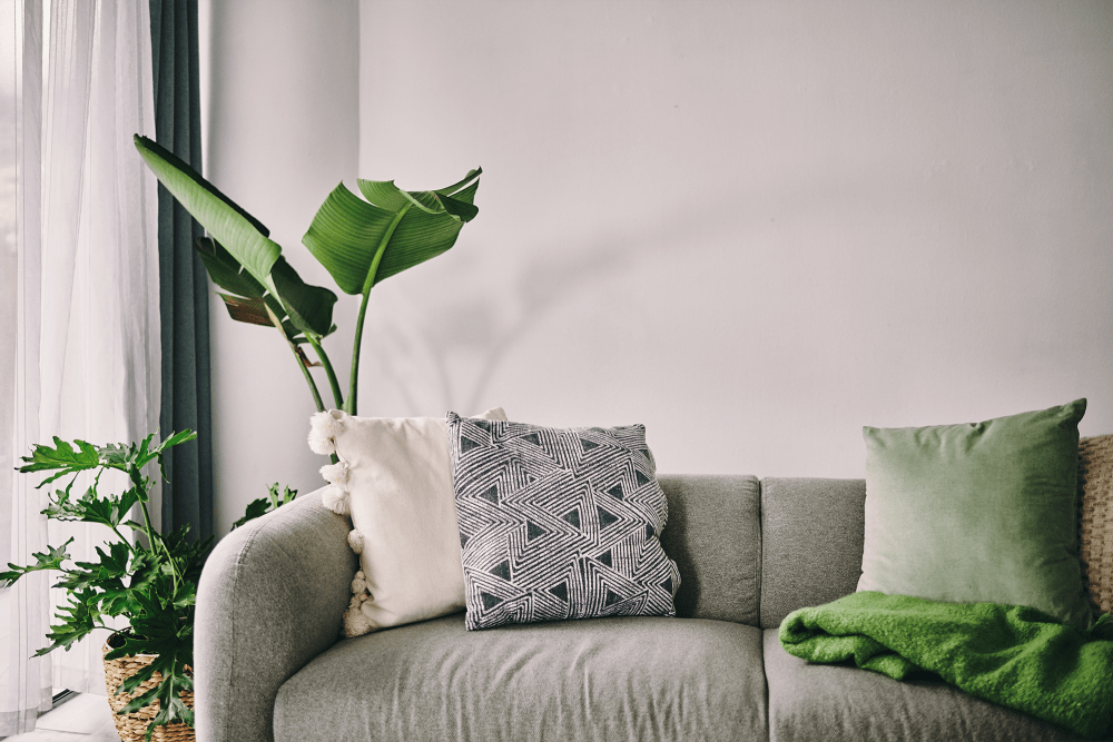 Grey sofa with throw pillows and tall house plant at Shaff Square Apartments in Stayton, Oregon