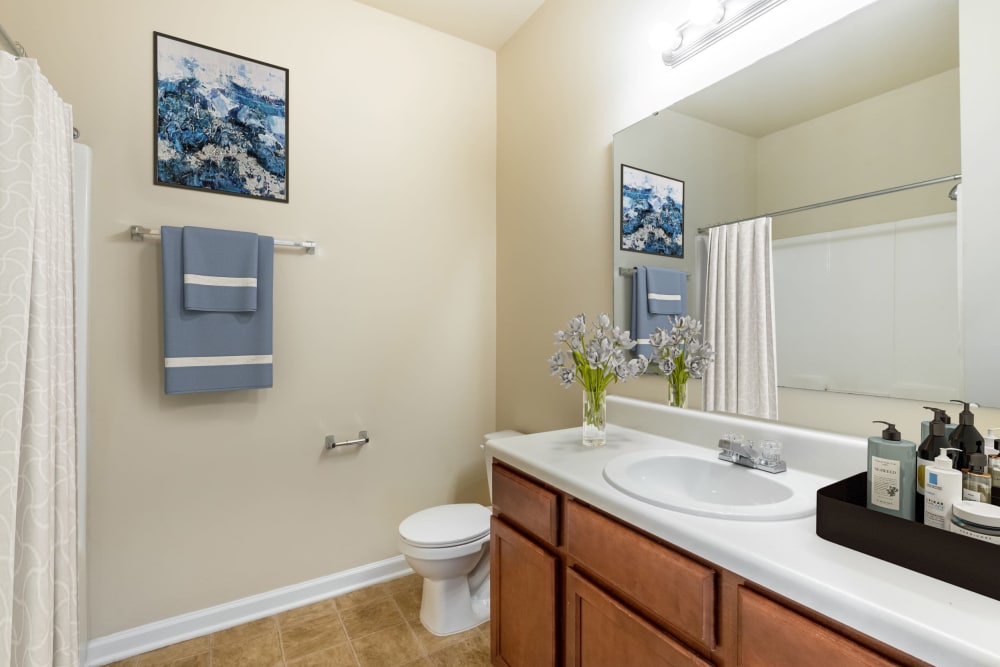Bathroom in an apartment at Bristol Park in Fayetteville, North Carolina