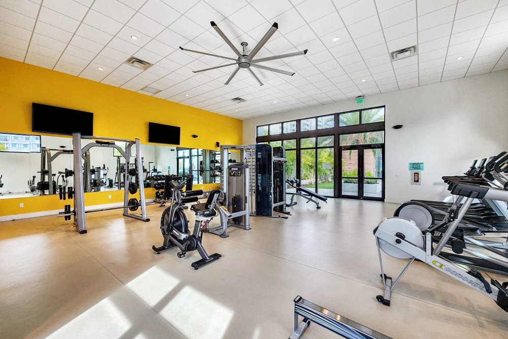 Fitness Center at Elements on Third in St Petersburg, Florida