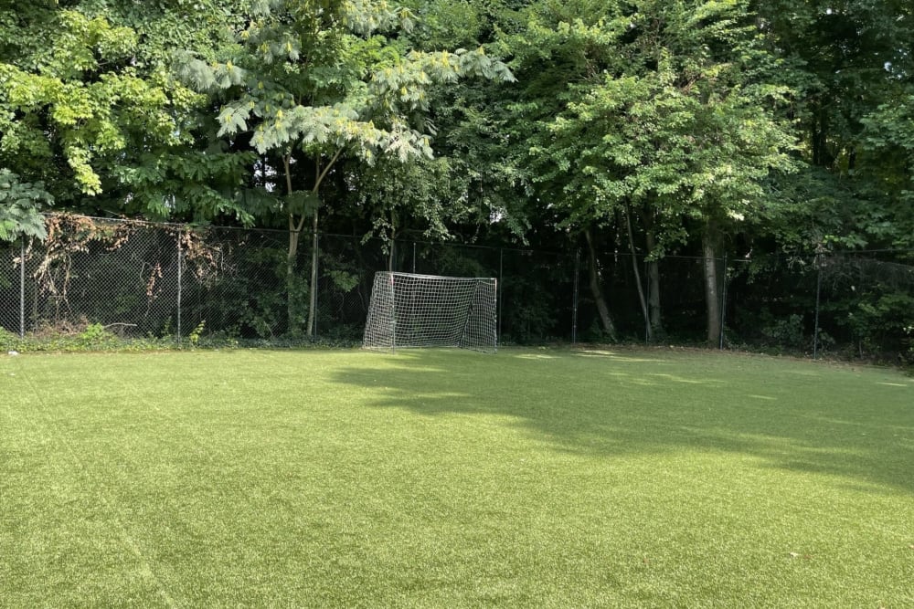 A grassy area with a soccer net at Chapel Creek in Doraville, Georgia
