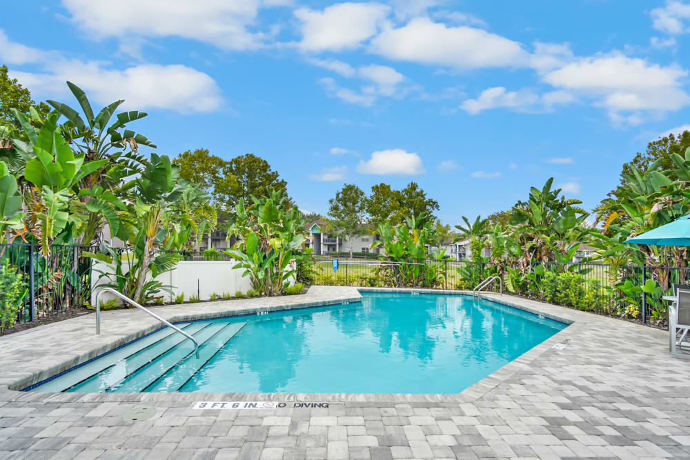 Swimming pool at The Isle Apartments in Orlando, Florida