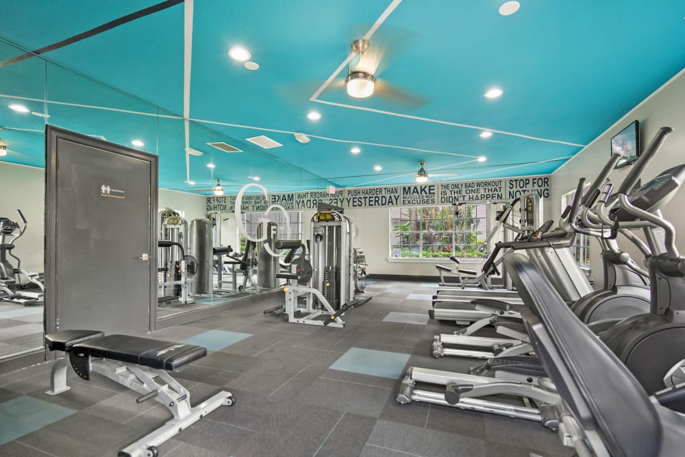 Fitness center at The Isle Apartments in Orlando, Florida