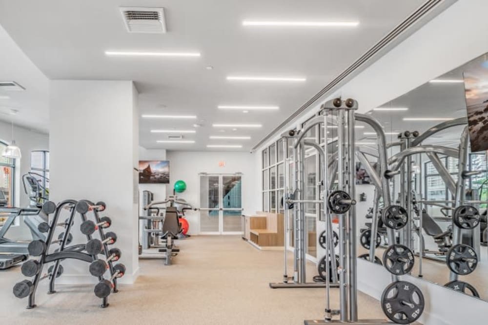Weightlifting equipment in the fitness center at Marina Del Viento in Sunny Isles Beach, Florida