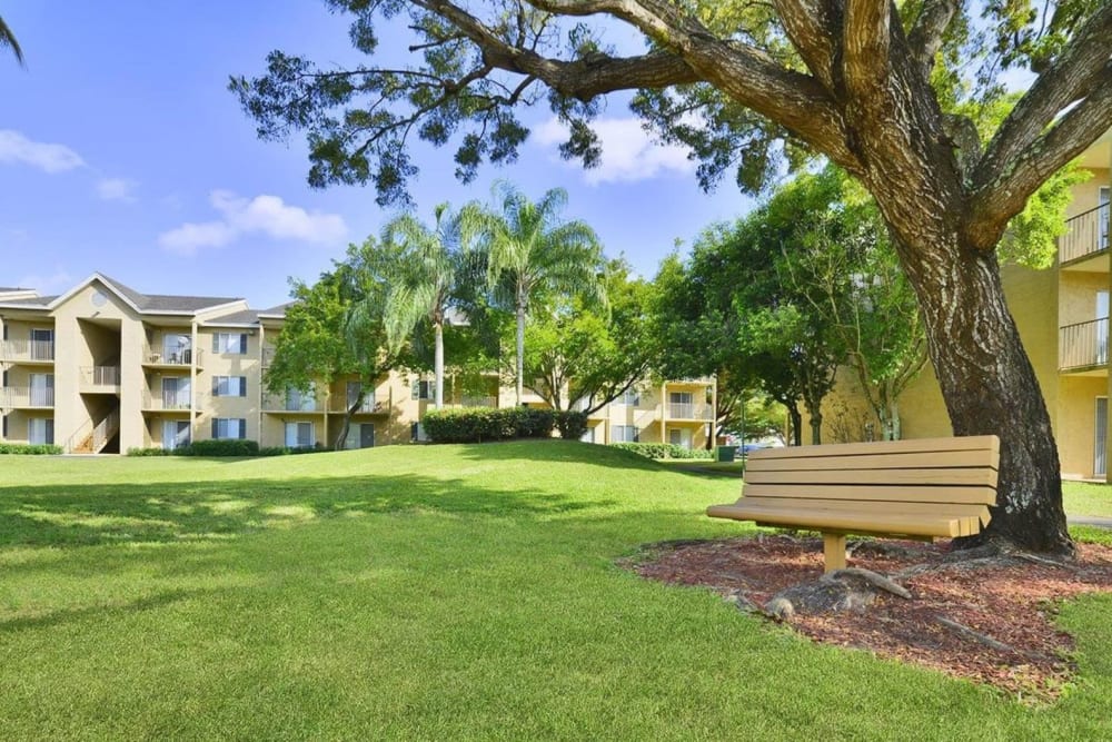 A manicured lawn and a bench under a tree at Palmetto Place in Miami, Florida