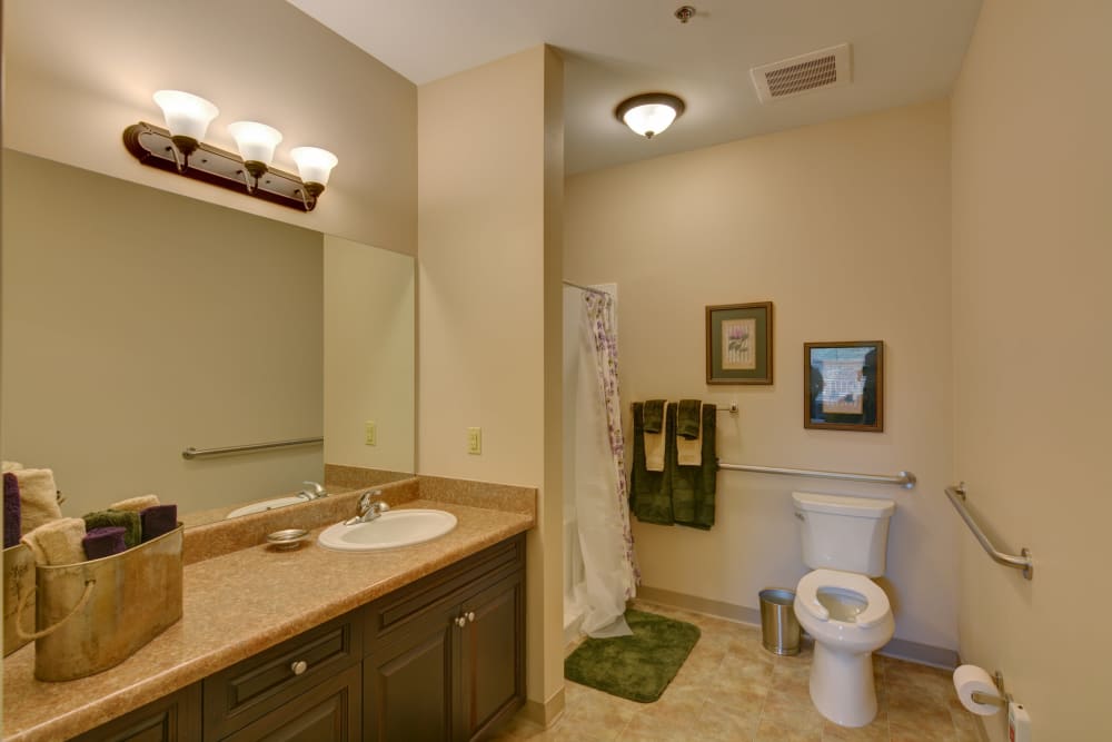 Accessible bathroom in an apartment at Barclay House of Augusta in Augusta, Georgia