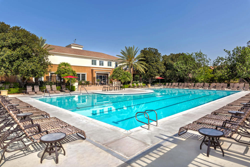 outdoor pool at Homecoming at Eastvale in Eastvale, California