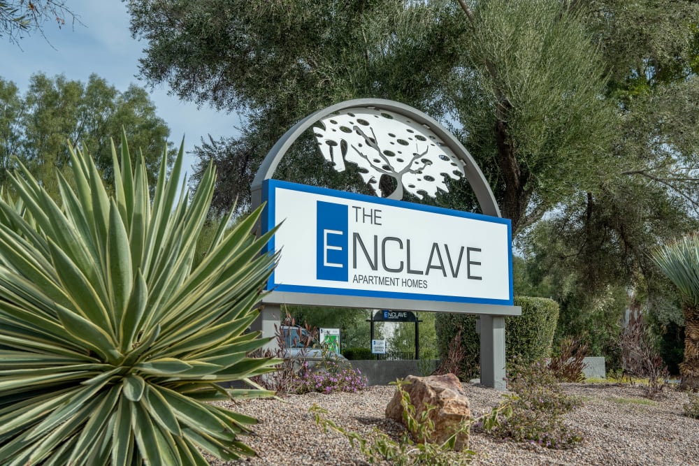 Spacious living areas with plenty of natural lighting at The Enclave in Tucson, Arizona