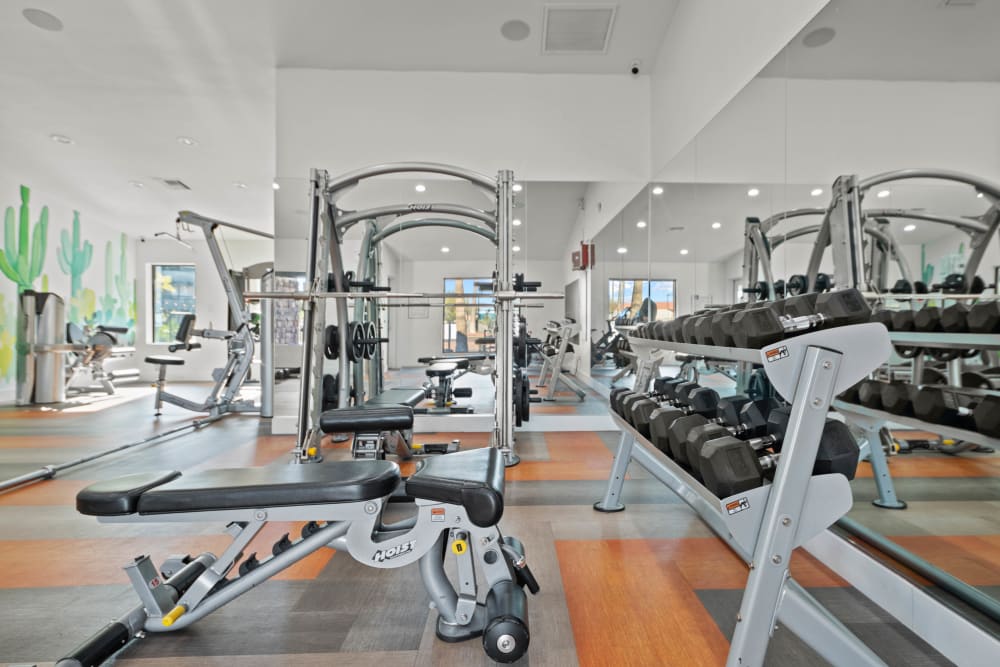 State-of-the-Art Fitness Center with free weights at Asteria Apartments in Tempe, AZ