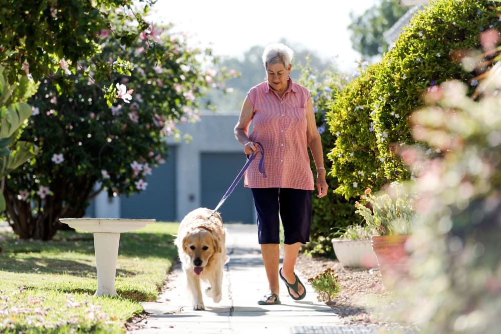 Resident walking their dog at Keystone Place at Bonita Springs in Bonita Springs, Florida