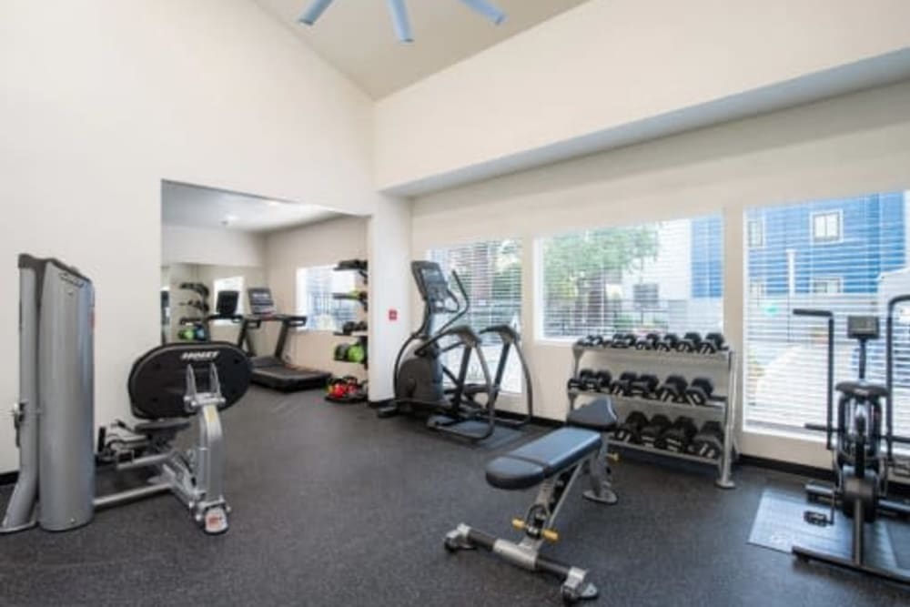 Modern gym fitness room with large windows and treadmills at Austin Commons Apartments in Hayward, California