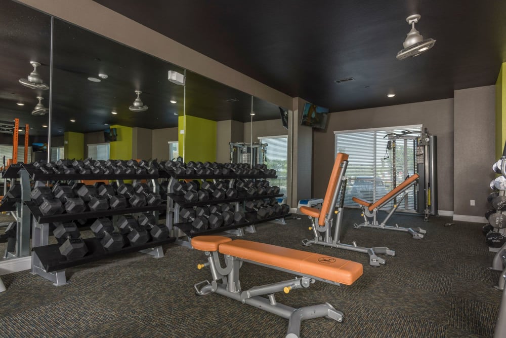 Modern Apartments at The Abbey at Dominion Crossing in San Antonio, Texas