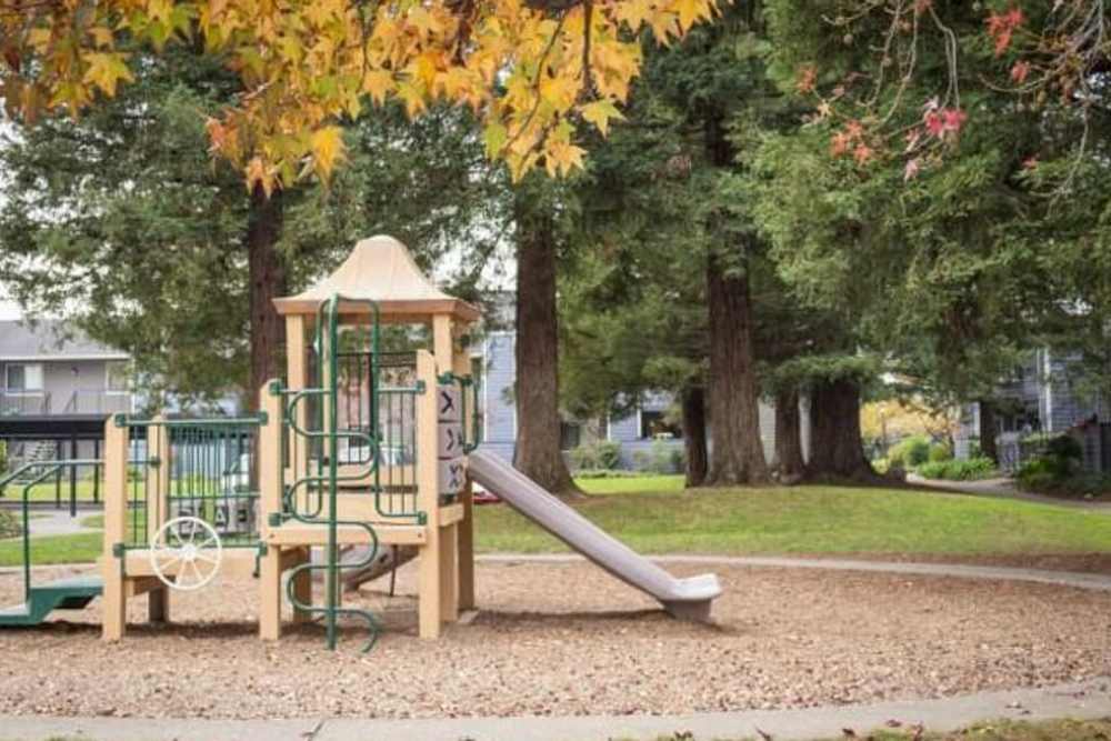 Playground at Park Vue in Santa Rosa, California