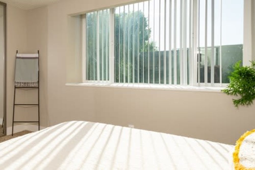 Bedroom with large windows at The Marq in Santa Rosa, California