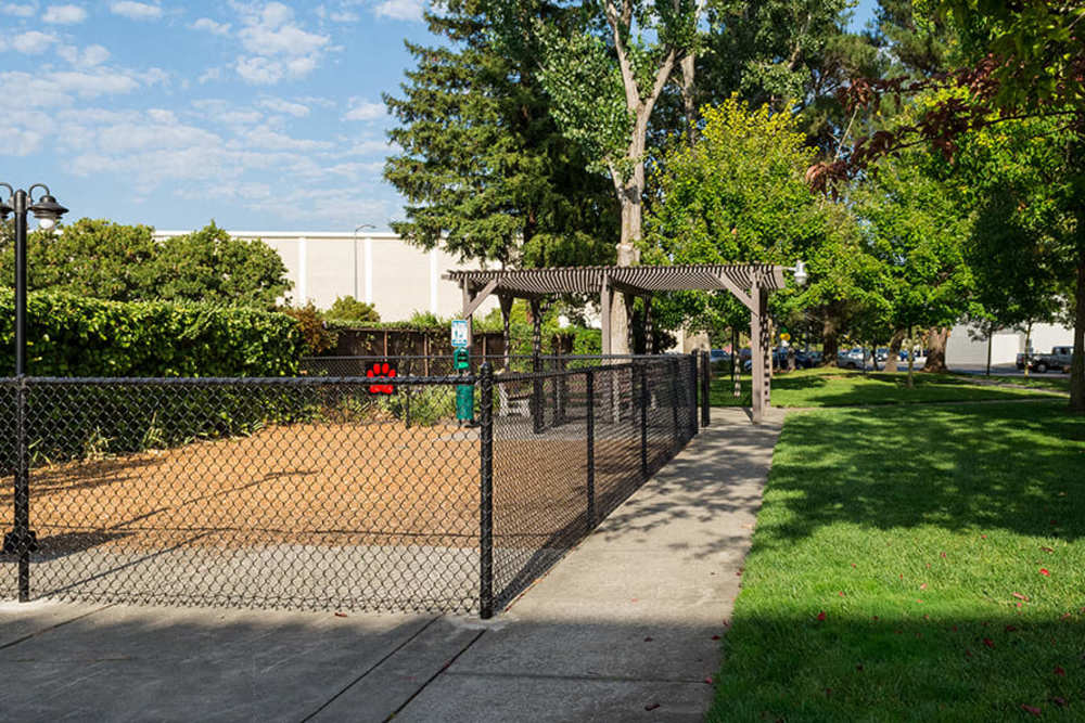 Fenced dog park at Parc Station in Santa Rosa, California