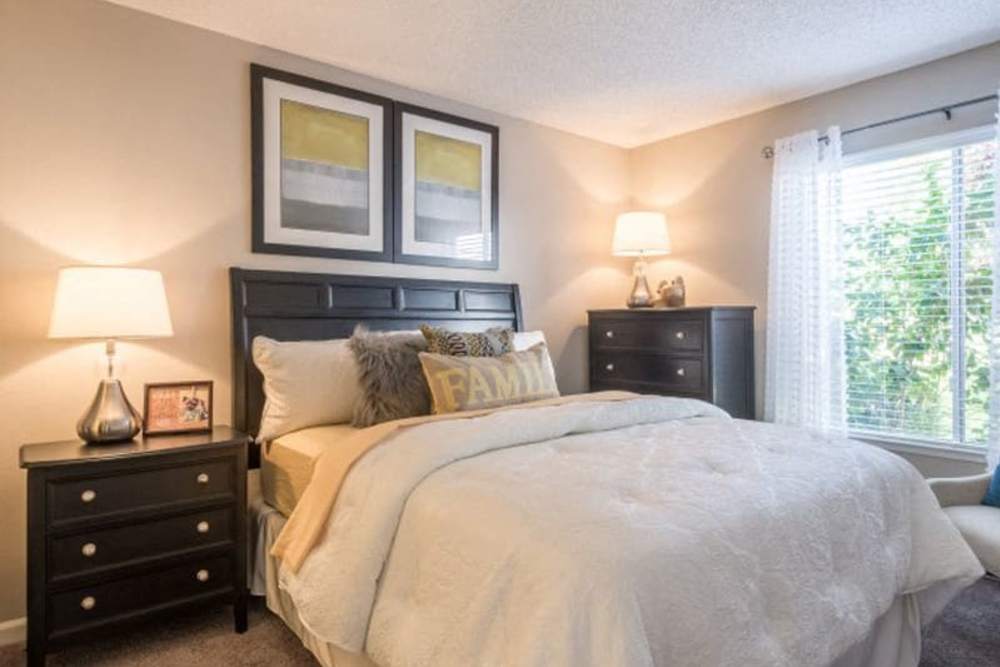 Spacious model bedroom with plush carpeting and large windows at Parc Station in Santa Rosa, California
