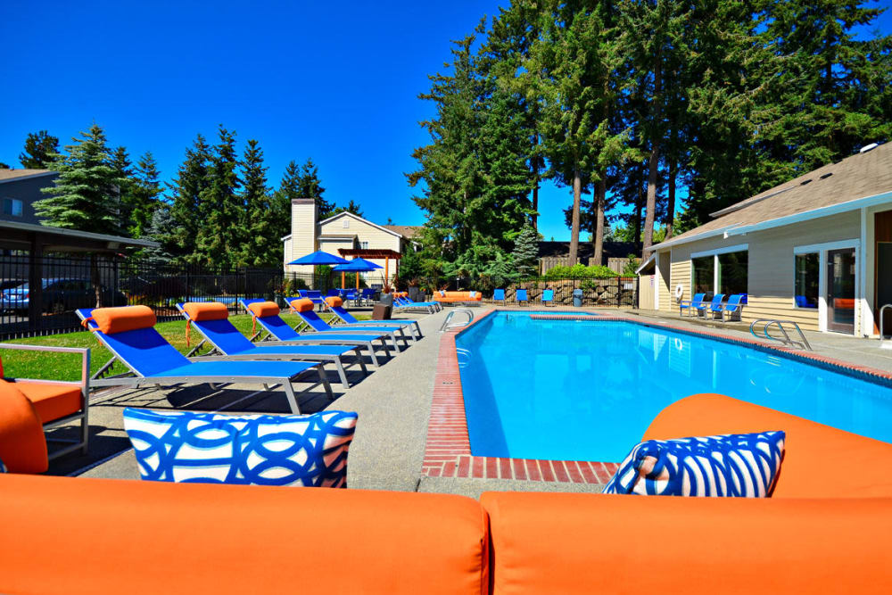 Refreshing swimming pool at The Windsor in Renton, Washington