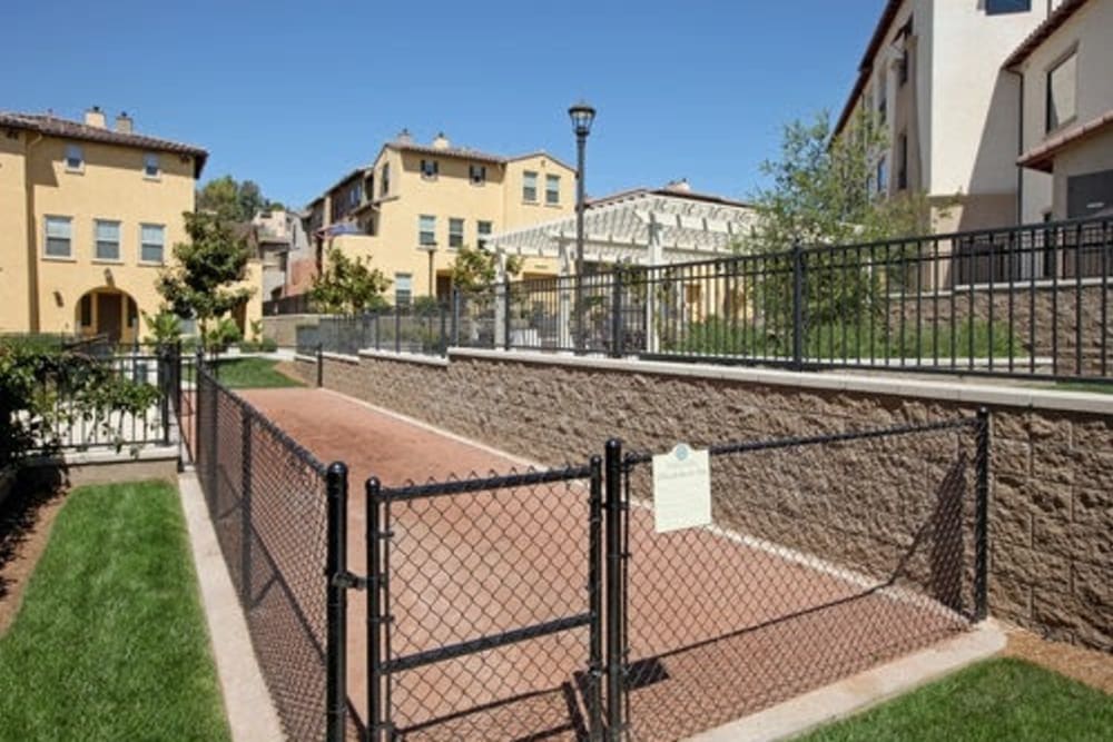 Dog park at Piazza D'Oro in Oceanside, California