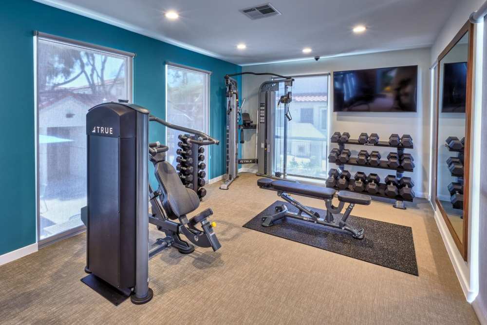Free weight station in fitness center and flat screen television at Surfside Villas in Huntington Beach, California