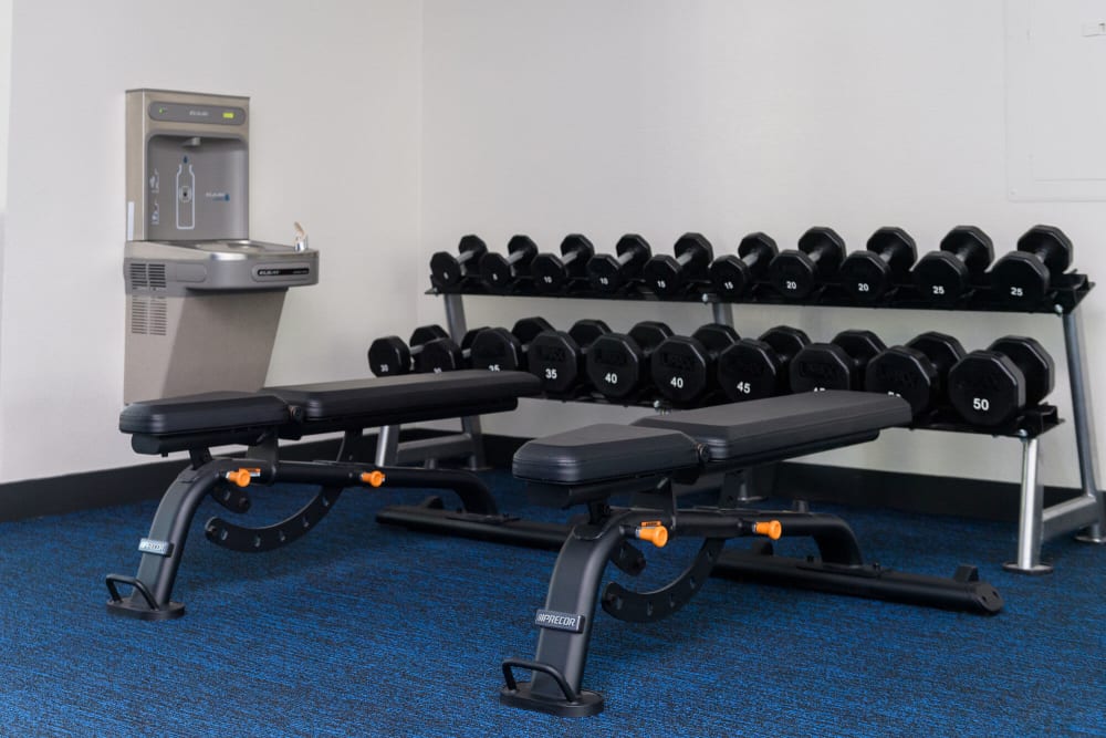Fitness center with free-weights at Azure in Antelope, California