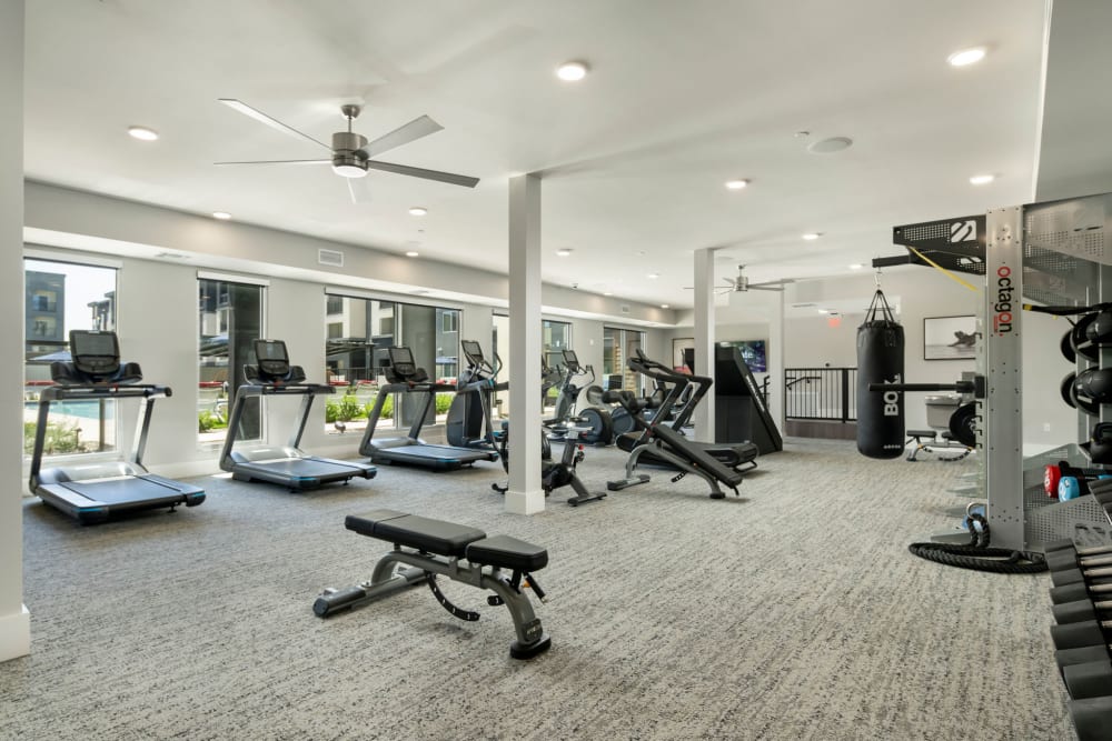Fitness center at Olympus Chandler at the Park in Chandler, Arizona