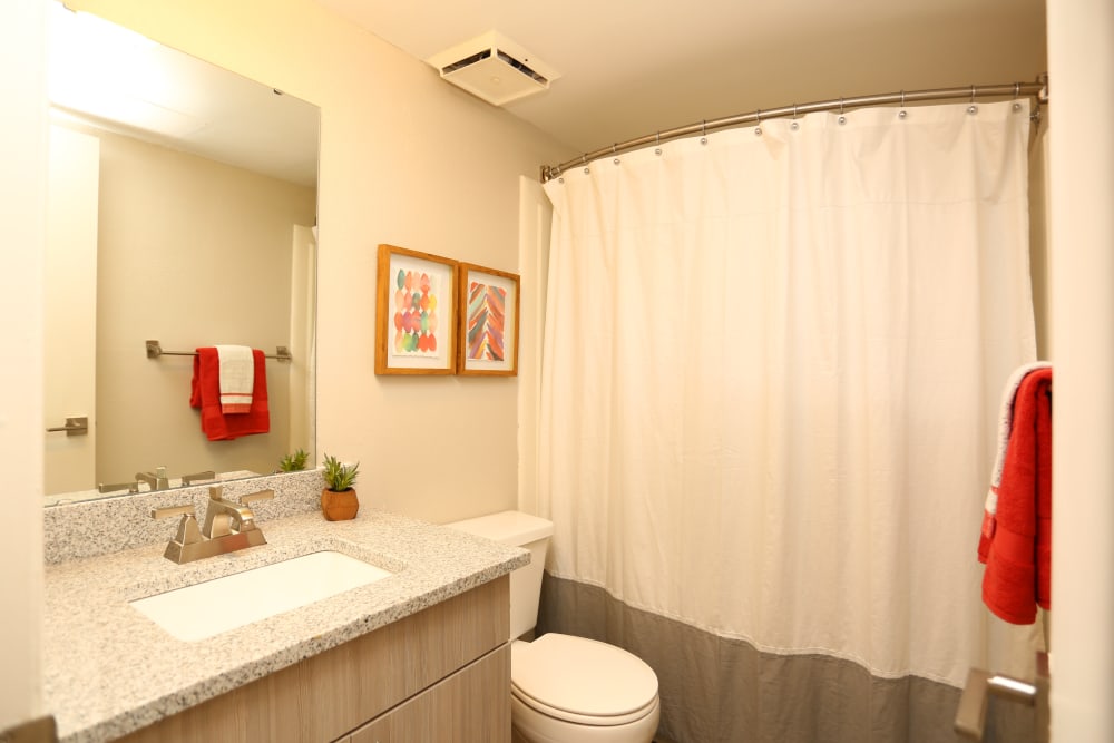 Apartment bathroom at Acasă Vista Towers in Columbia, South Carolina