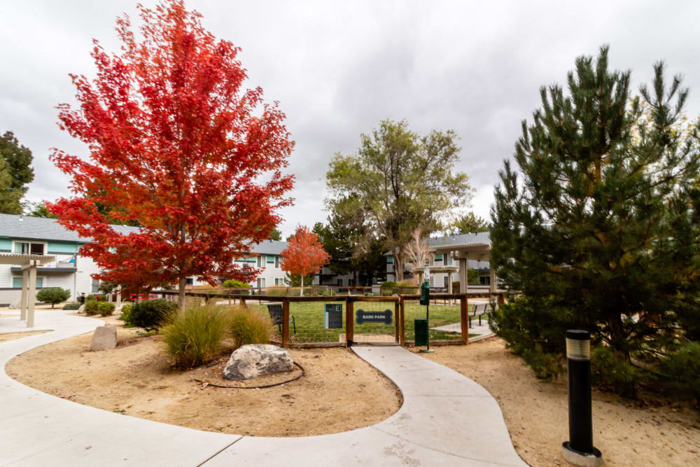 Bark park at The Element Apartments in Reno, Nevada