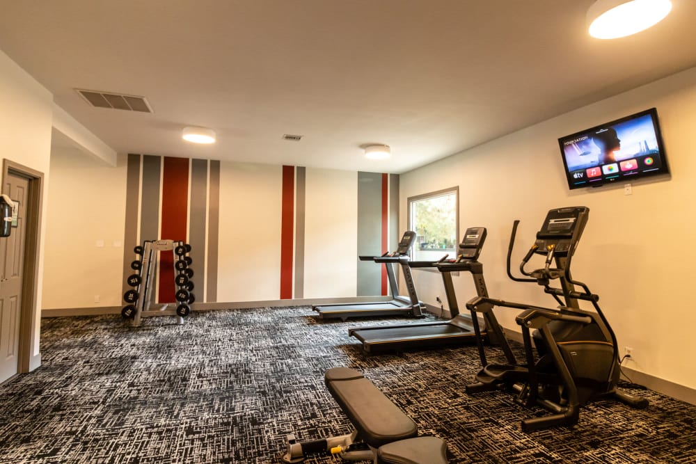 Apartments for Rent in Reno, NV - The Element - Fitness Center with Carpet Flooring, Treadmill Machines, Weights, a TV, and Window