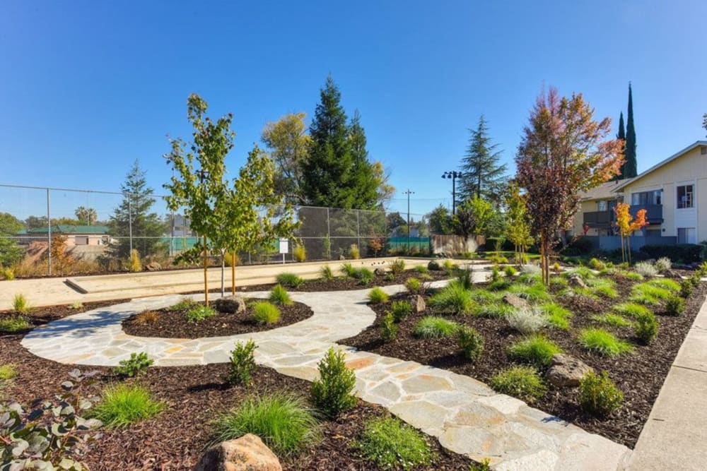 Exterior landscaping at The Everette in Rocklin, California